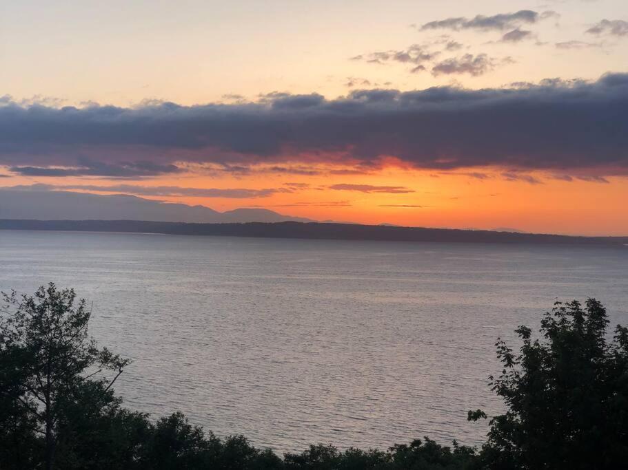 1-Bedroom Seaview Guesthouse On Seattle Luxury Estate With Views Of Olympic Mountains Kültér fotó