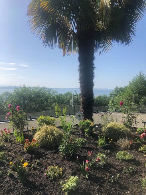1-Bedroom Seaview Guesthouse On Seattle Luxury Estate With Views Of Olympic Mountains Kültér fotó