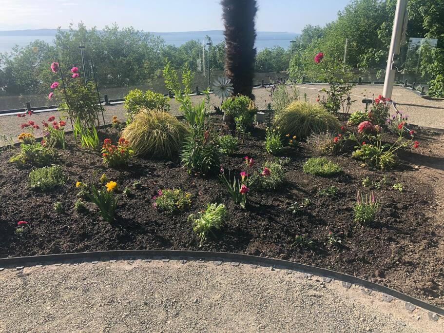 1-Bedroom Seaview Guesthouse On Seattle Luxury Estate With Views Of Olympic Mountains Kültér fotó