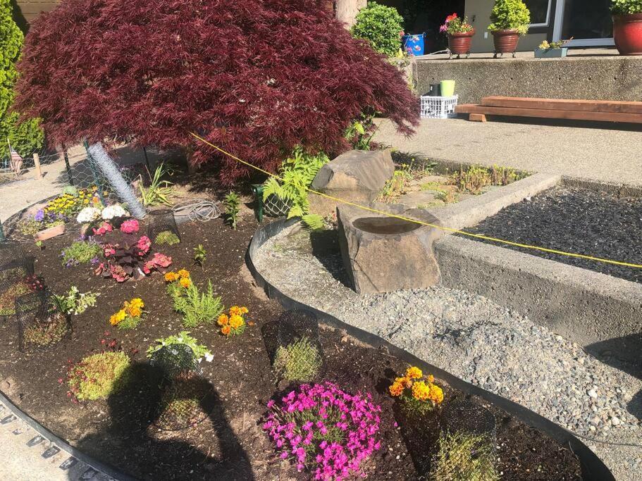 1-Bedroom Seaview Guesthouse On Seattle Luxury Estate With Views Of Olympic Mountains Kültér fotó