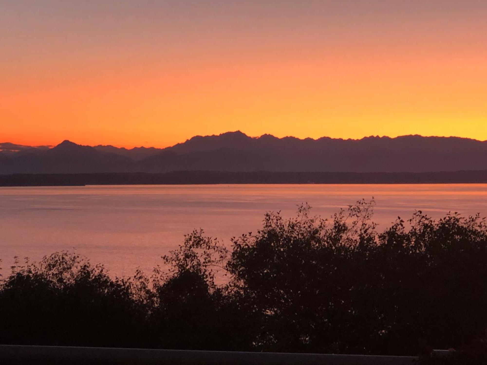 1-Bedroom Seaview Guesthouse On Seattle Luxury Estate With Views Of Olympic Mountains Kültér fotó